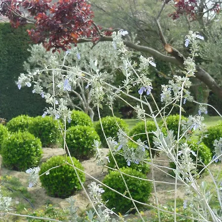 Domaine Lafayette Bed & Breakfast Loriol-du-Comtat