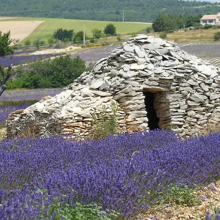 Bed & Breakfast Domaine Lafayette *
